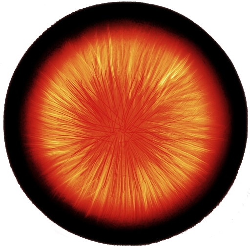 /archive/pillar/raw/commit/312b0a276a76c00a8478ccab5f2c2f47bbf932a6/tests/test_api/images/512x512-8bit-rgba.png