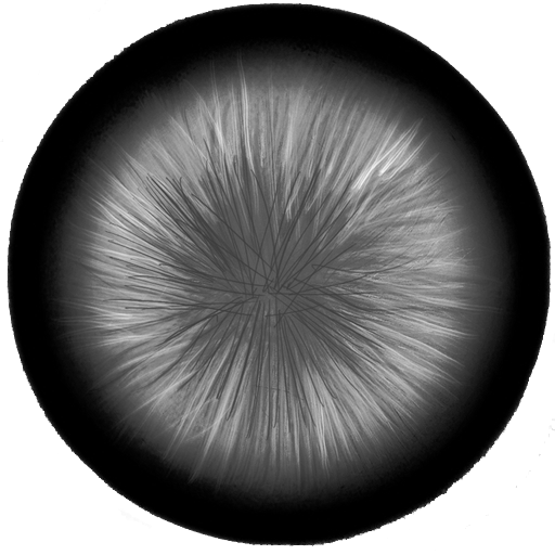 /archive/pillar/raw/commit/d0e12401c001d41271d6c4bef7e68b39e9960cfe/tests/test_api/images/512x512-8bit-grey-alpha.png