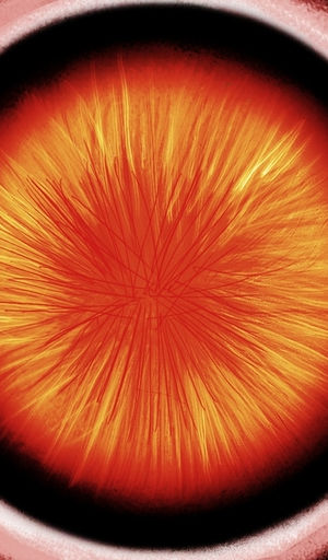 /archive/pillar/raw/commit/e9d247fe97f851b5cf0e4df9f107d26f9905bc91/tests/test_api/images/300x512-8bit-rgb.jpg